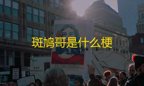 永久免费的服务器系统斑鸠哥是什么梗